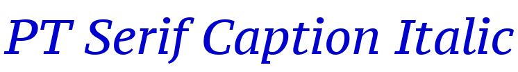 PT Serif Caption Italic 字体