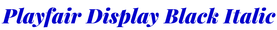 Playfair Display Black Italic 字体