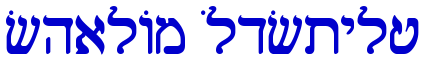 Shalom OldStyle 字体