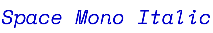 Space Mono Italic 字体
