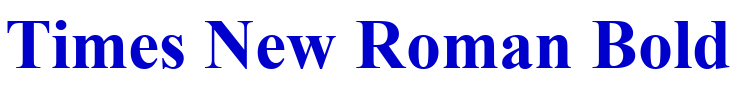 Times New Roman Bold 字体