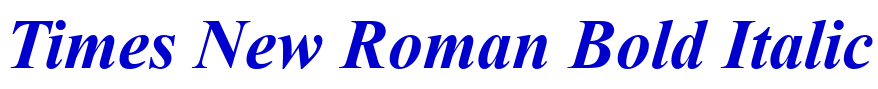 Times New Roman Bold Italic 字体