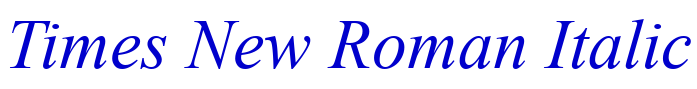 Times New Roman Italic 字体