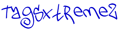 TagsXtreme2 字体